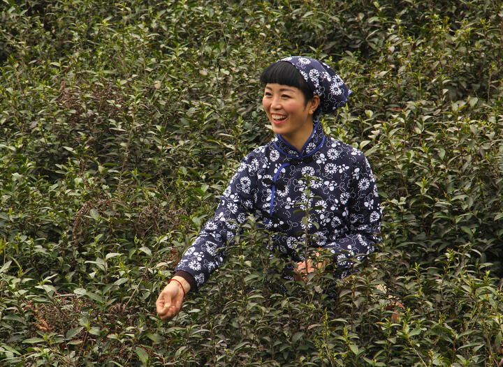 影片封面